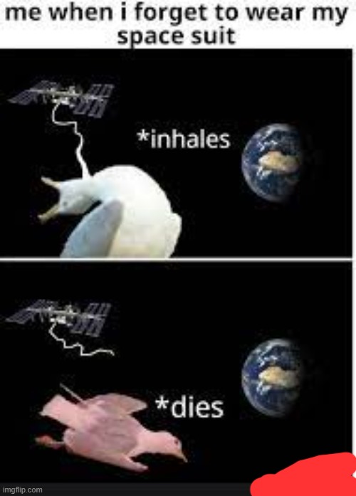 image tagged in astronaut,inhales dies bird,funny,meme | made w/ Imgflip meme maker