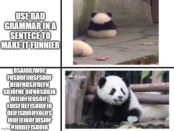 panda meme