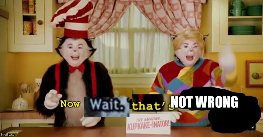 Now wait that’s impossibly illegal | NOT WRONG | image tagged in now wait that s impossibly illegal | made w/ Imgflip meme maker