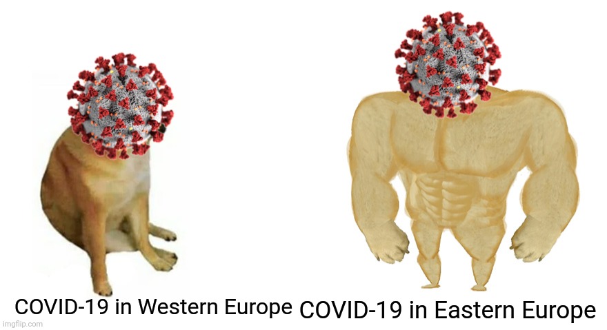 Covid in Europe Situation Nowadays | COVID-19 in Eastern Europe; COVID-19 in Western Europe | image tagged in swole doge vs cheems flipped,coronavirus,covid-19,europe,memes | made w/ Imgflip meme maker