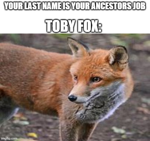 hmmmmmmmmm | YOUR LAST NAME IS YOUR ANCESTORS JOB; TOBY FOX: | image tagged in blank white template | made w/ Imgflip meme maker