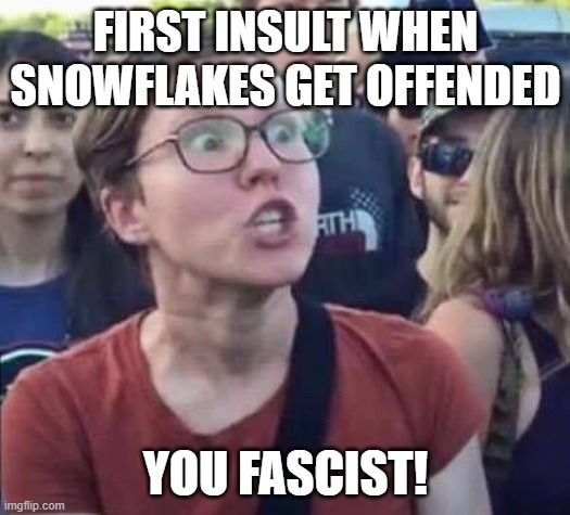 Angry Liberal | FIRST INSULT WHEN SNOWFLAKES GET OFFENDED YOU FASCIST! | image tagged in angry liberal | made w/ Imgflip meme maker