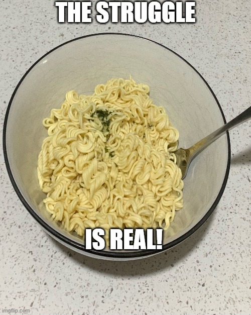 finance struggle and food |  THE STRUGGLE; IS REAL! | image tagged in budget,university,student life,poor,noodles,food memes | made w/ Imgflip meme maker