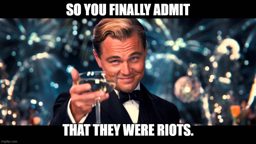 lionardo dicaprio thank you | SO YOU FINALLY ADMIT THAT THEY WERE RIOTS. | image tagged in lionardo dicaprio thank you | made w/ Imgflip meme maker