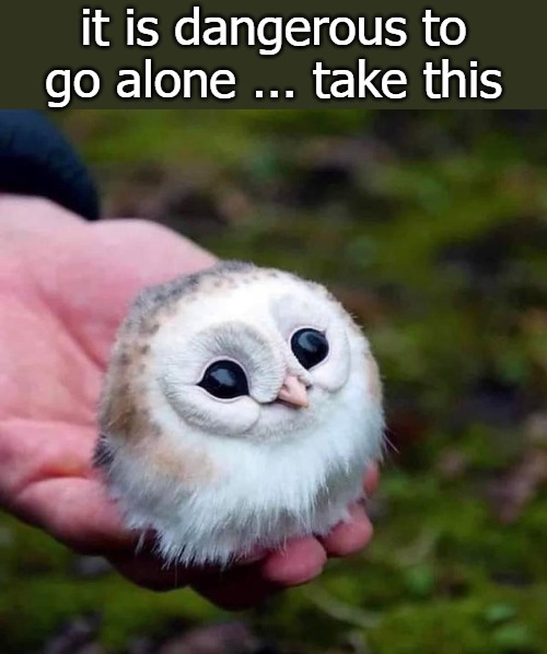  it is dangerous to go alone ... take this | image tagged in bebe | made w/ Imgflip meme maker