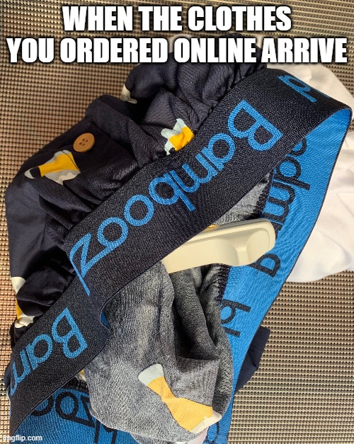 online shopping | WHEN THE CLOTHES YOU ORDERED ONLINE ARRIVE | image tagged in funny,online shopping | made w/ Imgflip meme maker