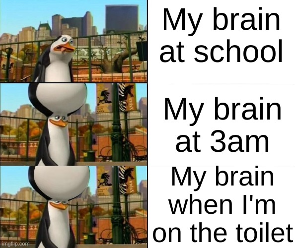 Just me? | My brain at school; My brain
at 3am; My brain when I'm on the toilet | image tagged in kowalski,penguins of madagascar,brain before sleep,brain,edit,expanding brain | made w/ Imgflip meme maker