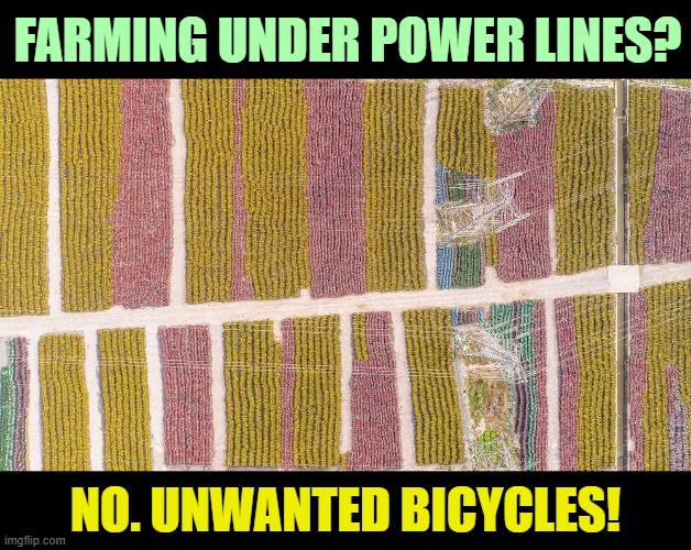 Environmentalism goes horribly wrong in China | FARMING UNDER POWER LINES? NO. UNWANTED BICYCLES! | image tagged in environmental,horror,pollution,bicycle,china,green | made w/ Imgflip meme maker