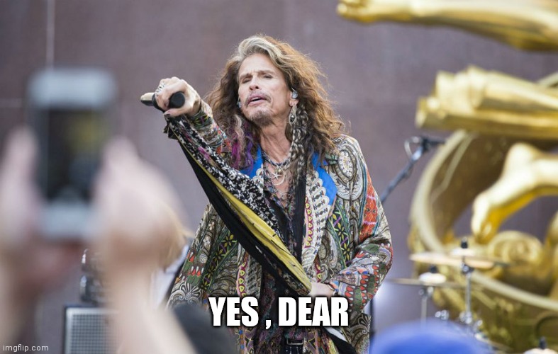 aerosmith | YES , DEAR | image tagged in aerosmith | made w/ Imgflip meme maker