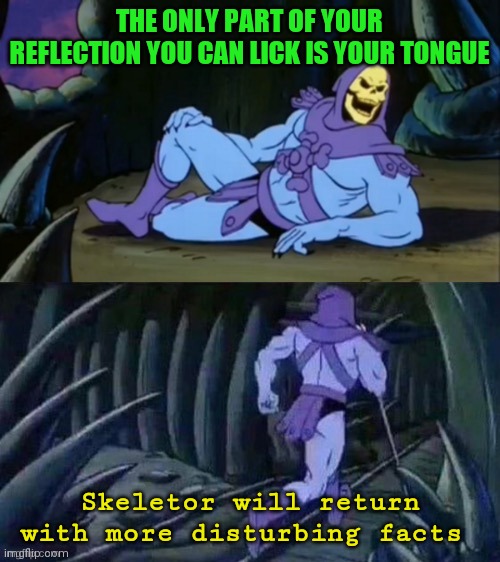 Skeletor disturbing facts | THE ONLY PART OF YOUR REFLECTION YOU CAN LICK IS YOUR TONGUE; Skeletor will return with more disturbing facts | image tagged in skeletor disturbing facts | made w/ Imgflip meme maker