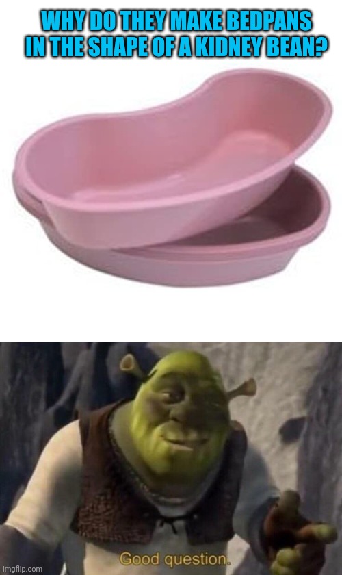 But why...why did they do that? | WHY DO THEY MAKE BEDPANS IN THE SHAPE OF A KIDNEY BEAN? | image tagged in shrek good question,beans | made w/ Imgflip meme maker