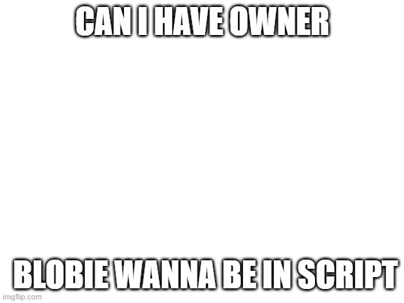 Blank White Template | CAN I HAVE OWNER; BLOBIE WANNA BE IN SCRIPT | image tagged in blank white template | made w/ Imgflip meme maker