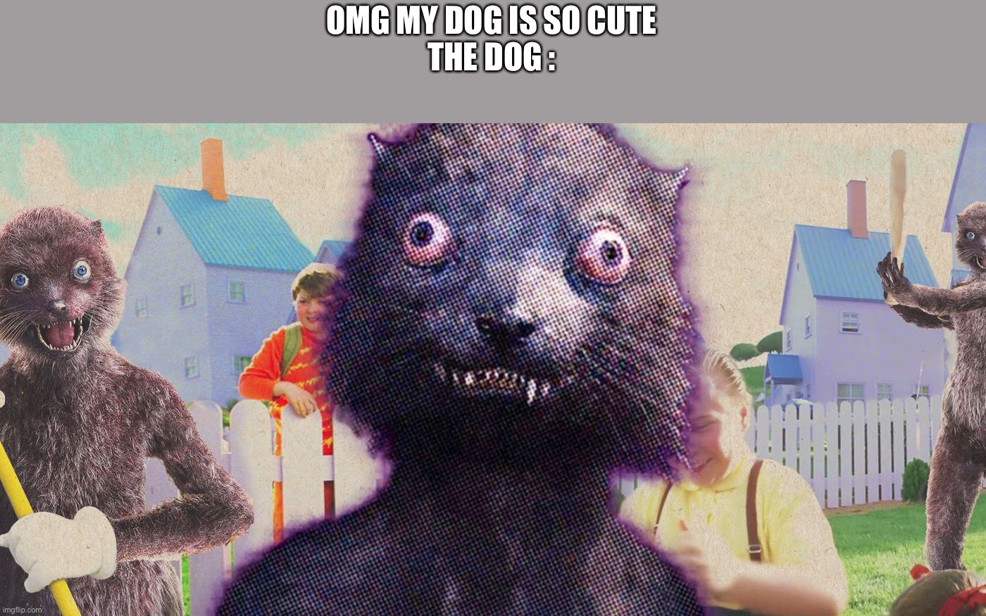 Hmm | OMG MY DOG IS SO CUTE

THE DOG : | image tagged in yes | made w/ Imgflip meme maker