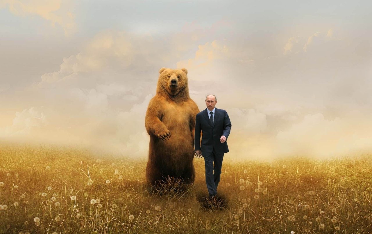 Birthday Bear & Putin Blank Meme Template