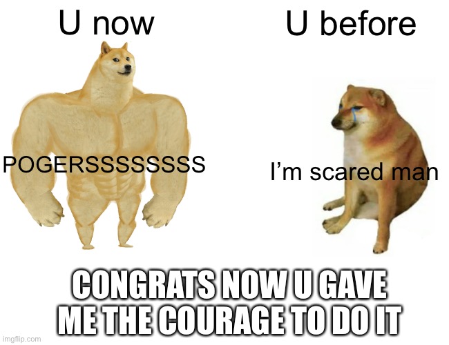 U now U before POGERSSSSSSSS I’m scared man CONGRATS NOW U GAVE ME THE COURAGE TO DO IT | image tagged in memes,buff doge vs cheems | made w/ Imgflip meme maker