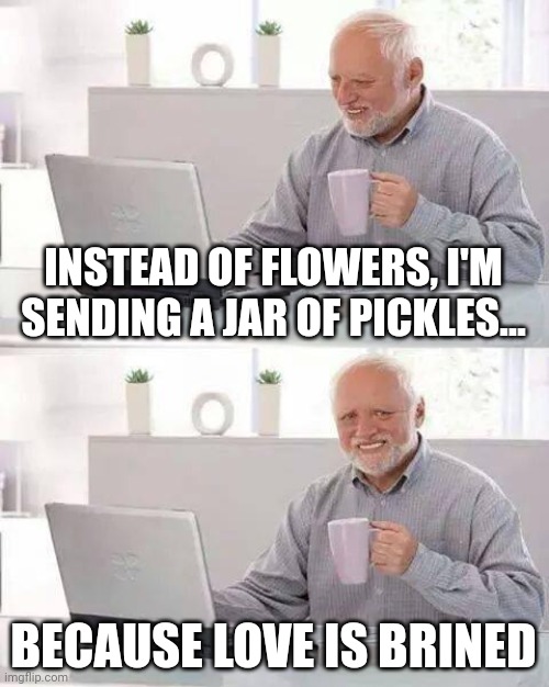 Brined love | INSTEAD OF FLOWERS, I'M SENDING A JAR OF PICKLES... BECAUSE LOVE IS BRINED | image tagged in memes,hide the pain harold,lol so funny | made w/ Imgflip meme maker