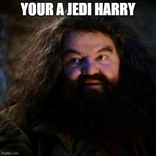 You're a wizard harry | YOUR A JEDI HARRY | image tagged in you're a wizard harry | made w/ Imgflip meme maker