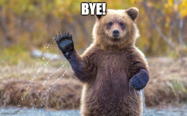 bye bye bear | BYE! | image tagged in bye bye bear | made w/ Imgflip meme maker