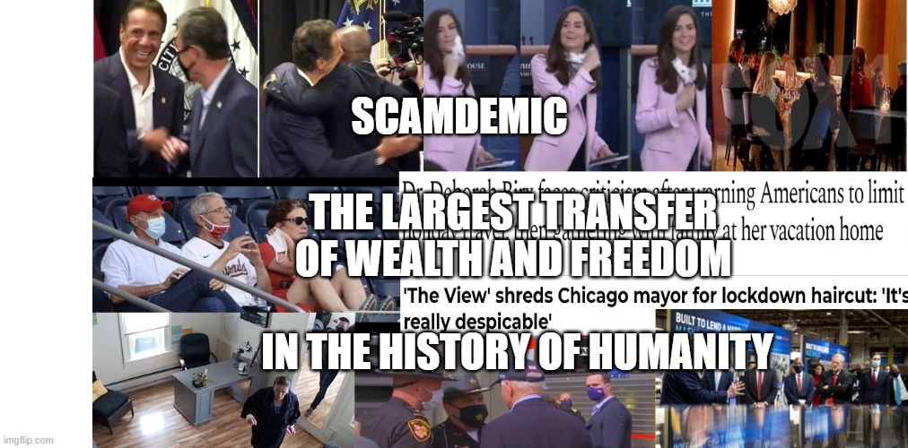 Mask Hypocrysy | THE LARGEST TRANSFER OF WEALTH AND FREEDOM                   
  IN THE HISTORY OF HUMANITY; SCAMDEMIC | image tagged in mask hypocrysy | made w/ Imgflip meme maker