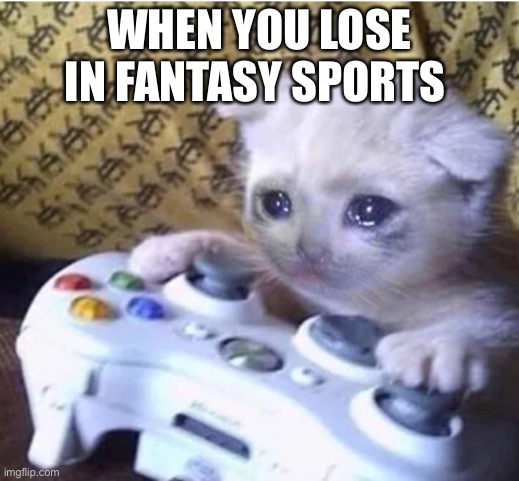 When you lose in fantasy sports | WHEN YOU LOSE IN FANTASY SPORTS | image tagged in sad gaming cat,crying,cat,fantasy,sports,gaming | made w/ Imgflip meme maker