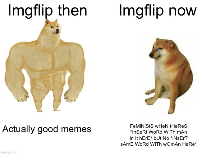 Buff Doge vs. Cheems | Imgflip then; Imgflip now; Actually good memes; FeMiNiStS wHeN tHeReS *InSeRt WoRd WiTh mAn In It hErE* bUt No *iNsErT sAmE WoRd WiTh wOmAn HeRe* | image tagged in memes,buff doge vs cheems | made w/ Imgflip meme maker