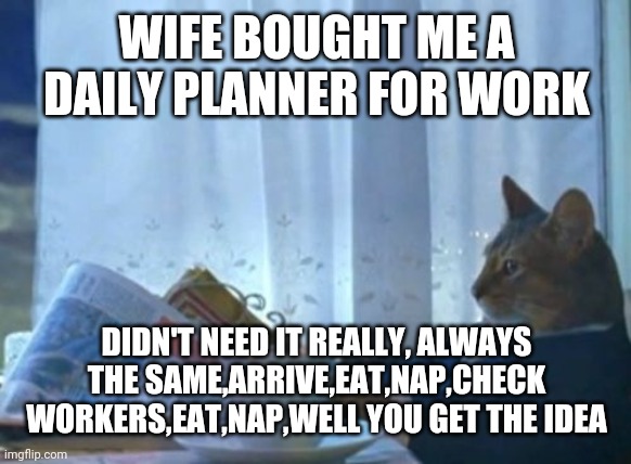 I Should Buy A Boat Cat | WIFE BOUGHT ME A DAILY PLANNER FOR WORK; DIDN'T NEED IT REALLY, ALWAYS THE SAME,ARRIVE,EAT,NAP,CHECK WORKERS,EAT,NAP,WELL YOU GET THE IDEA | image tagged in memes,i should buy a boat cat | made w/ Imgflip meme maker