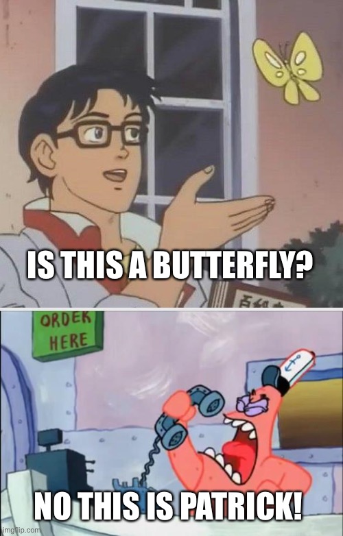 Is this a butterfly? NO THIS IS PATRICK! | IS THIS A BUTTERFLY? NO THIS IS PATRICK! | image tagged in memes,is this a pigeon,no this is patrick | made w/ Imgflip meme maker