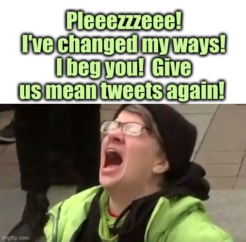 Mean Tweets Please | Pleeezzzeee! I've changed my ways!
I beg you!  Give us mean tweets again! | image tagged in screaming liberal,mean tweets | made w/ Imgflip meme maker
