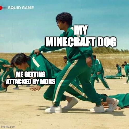 Squid Game | MY MINECRAFT DOG; ME GETTING ATTACKED BY MOBS | image tagged in squid game | made w/ Imgflip meme maker