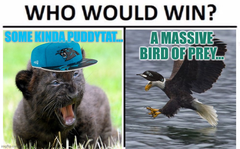 Carolina Panthers vs Philadelphia Eagles |  SOME KINDA PUDDYTAT... A MASSIVE BIRD OF PREY... | image tagged in memes,who would win,carolina panthers,philadelphia eagles,nfl football,football | made w/ Imgflip meme maker