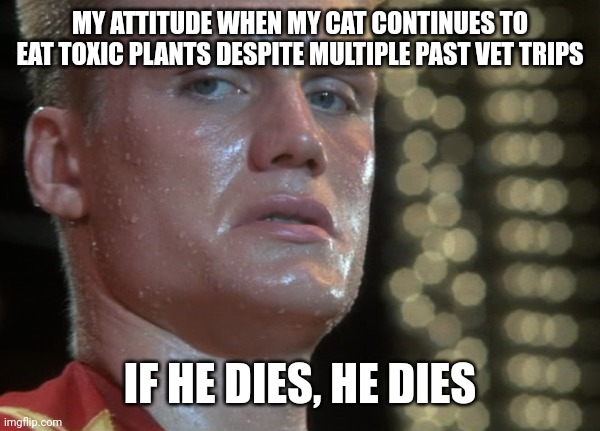 Stubborn cat | MY ATTITUDE WHEN MY CAT CONTINUES TO EAT TOXIC PLANTS DESPITE MULTIPLE PAST VET TRIPS; IF HE DIES, HE DIES | image tagged in ivan drago | made w/ Imgflip meme maker