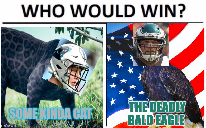 Panthers vs Eagles |  SOME KINDA CAT; THE DEADLY BALD EAGLE | image tagged in memes,who would win,nfl football,carolina panthers,philadelphia eagles | made w/ Imgflip meme maker