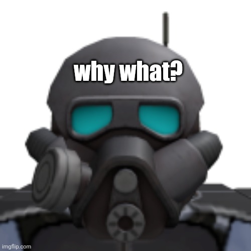 why what? | made w/ Imgflip meme maker