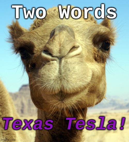 Texas Tesla | Two Words; Texas Tesla! | image tagged in camel nose,tesla,musk,industry,economy,politics | made w/ Imgflip meme maker