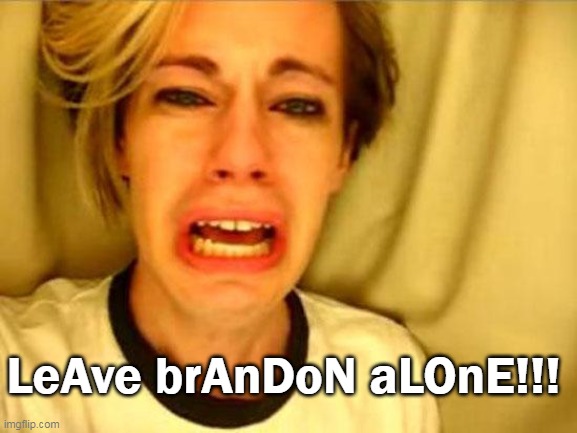 Most votes of any president ever?  Yeah, right! | LeAve brAnDoN aLOnE!!! | image tagged in leave britney alone,biden,voter fraud,cheaters | made w/ Imgflip meme maker