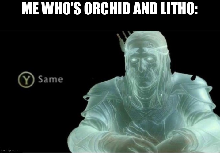 Y same better | ME WHO’S ORCHID AND LITHO: | image tagged in y same better | made w/ Imgflip meme maker