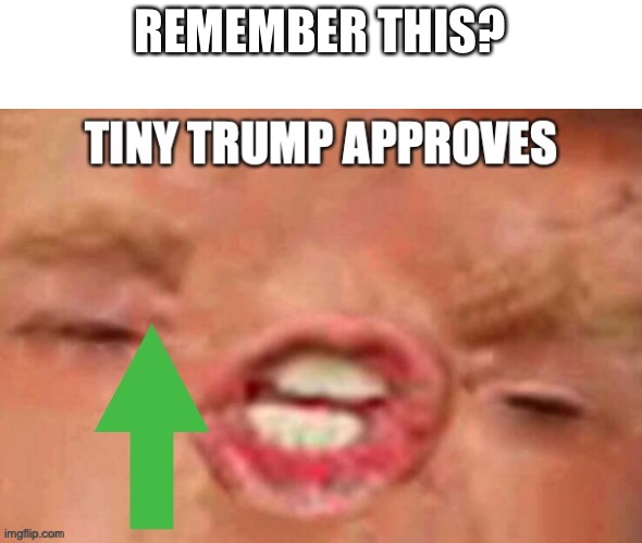Tiny Trump approves | REMEMBER THIS? | image tagged in tiny trump approves | made w/ Imgflip meme maker