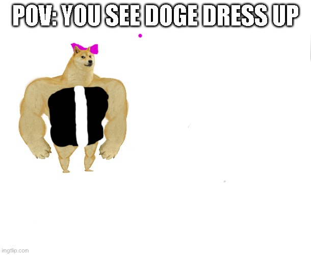 blank | POV: YOU SEE DOGE DRESS UP | image tagged in blank | made w/ Imgflip meme maker