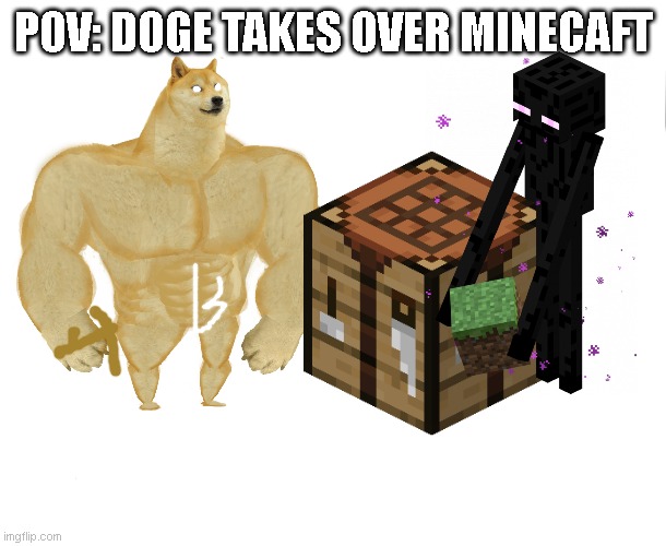 pov: doge takes over minecaft and picks to builld a house with you he keeps you safe | POV: DOGE TAKES OVER MINECAFT | image tagged in blank,doge | made w/ Imgflip meme maker