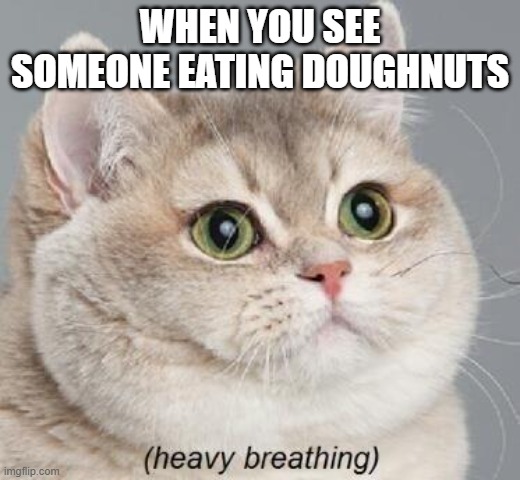 Heavy Breathing Cat | WHEN YOU SEE SOMEONE EATING DOUGHNUTS | image tagged in memes,heavy breathing cat | made w/ Imgflip meme maker