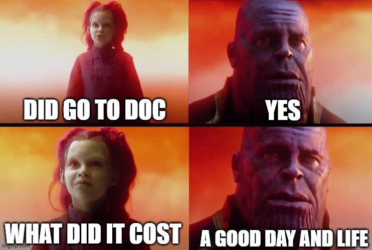 What did it cost? | DID GO TO DOC YES WHAT DID IT COST A GOOD DAY AND LIFE | image tagged in what did it cost | made w/ Imgflip meme maker