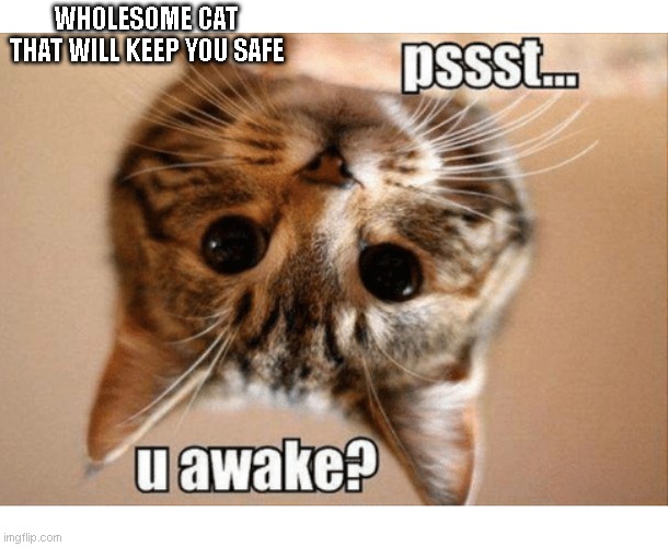 WHOLESOME CAT THAT WILL KEEP YOU SAFE | made w/ Imgflip meme maker