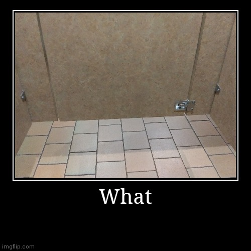 What | image tagged in funny,demotivationals | made w/ Imgflip demotivational maker