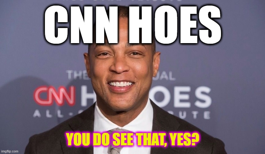 Don Lemon | CNN HOES; YOU DO SEE THAT, YES? | image tagged in don lemon,cnn,hoes | made w/ Imgflip meme maker