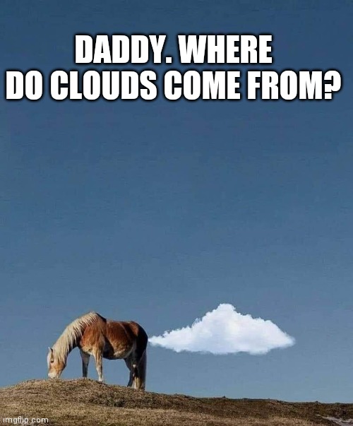 Where do clouds come from? | DADDY. WHERE DO CLOUDS COME FROM? | image tagged in horses,clouds,dad joke,fart | made w/ Imgflip meme maker
