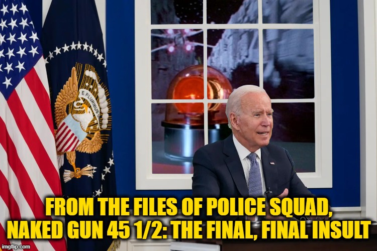 I am Serious, and Don't call me Surely | FROM THE FILES OF POLICE SQUAD, NAKED GUN 45 1/2: THE FINAL, FINAL INSULT | made w/ Imgflip meme maker