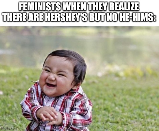 Feminists when... | FEMINISTS WHEN THEY REALIZE THERE ARE HERSHEY'S BUT NO HE-HIMS: | image tagged in memes,evil toddler,feminist,hershey,chocolate | made w/ Imgflip meme maker
