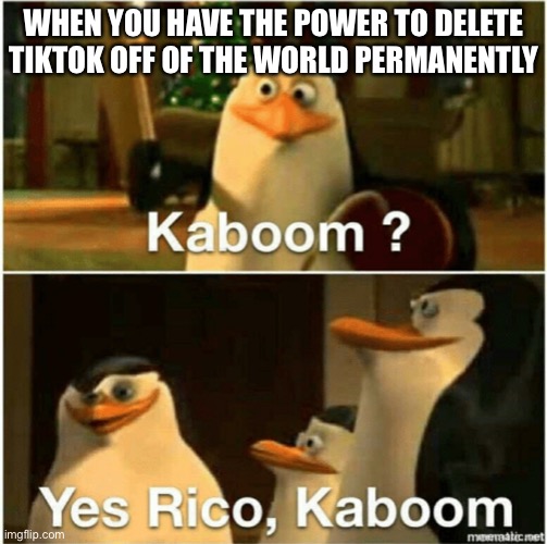 I would do that | WHEN YOU HAVE THE POWER TO DELETE TIKTOK OFF OF THE WORLD PERMANENTLY | image tagged in kaboom yes rico kaboom | made w/ Imgflip meme maker