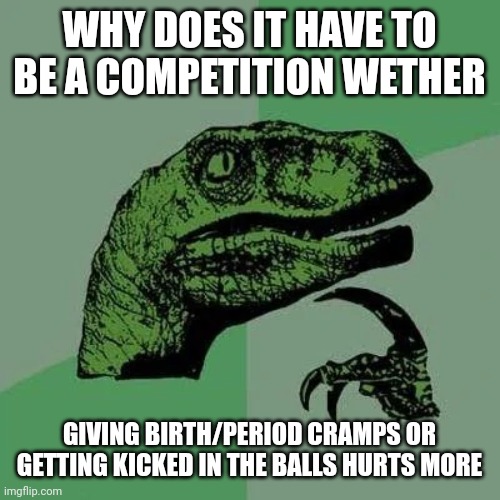 Can't we just agree that they both really hurt, but in different ways? | WHY DOES IT HAVE TO BE A COMPETITION WETHER; GIVING BIRTH/PERIOD CRAMPS OR GETTING KICKED IN THE BALLS HURTS MORE | image tagged in raptor asking questions | made w/ Imgflip meme maker