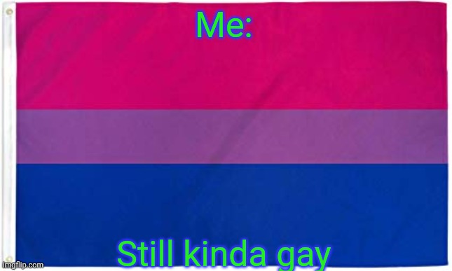 Bi pride <3 | Me: Still kinda gay | image tagged in bisexual flag | made w/ Imgflip meme maker